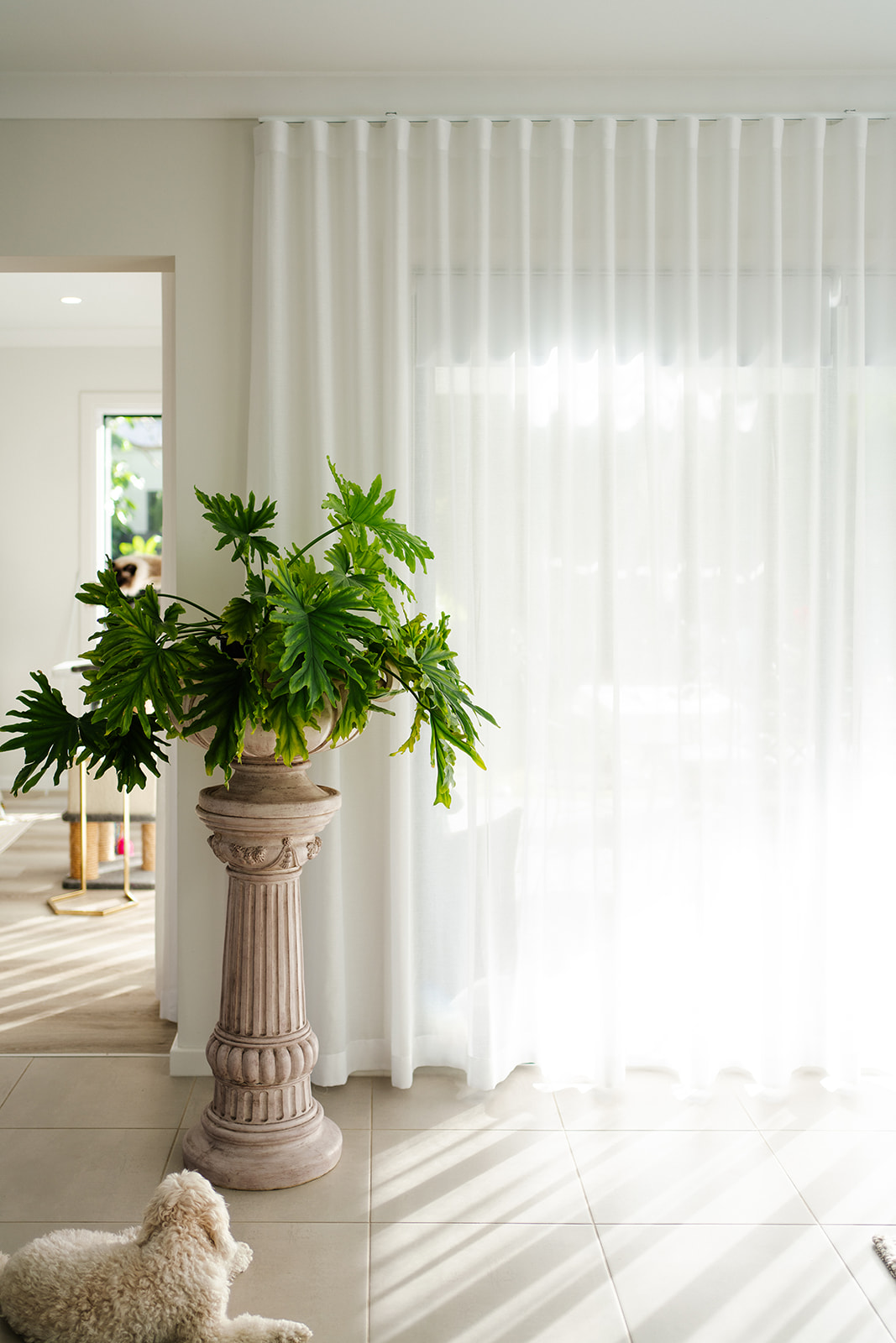 Curtains - Image 4